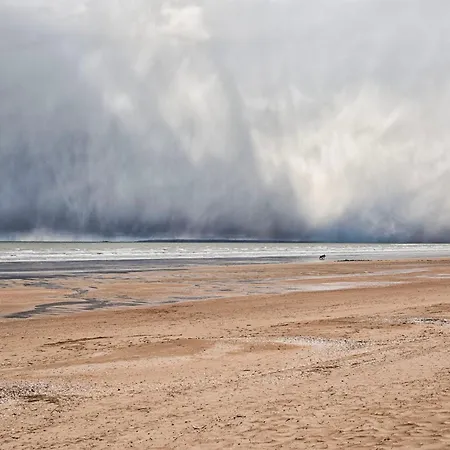 Apartamento - Wifi & Jardin - A 200m Cabourg